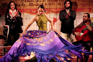 Aitoa flamencoa Flamenco de Leonesissa