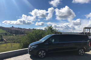 Avila and Segovia: Private Minivan Tour from Madrid