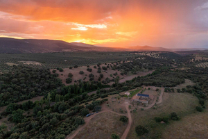 Guidad 4x4-safari i Cabañeros + vistelse i spegelhus