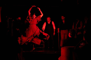 Flamenco Musical Goya Live Art - Madrid