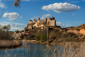 From Madrid - Cooking Class by a Castle in the Olive Groves