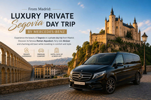 Depuis Madrid : excursion privée de luxe à Ségovie