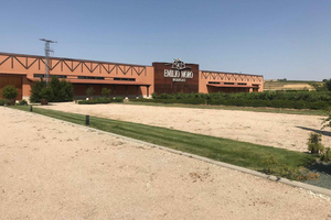 Depuis Madrid : visite privée du Ribera del Duero et d'Emilio Moro