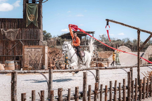 From Madrid: Transfer & Entrance to Puy du Fou España