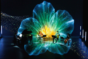 ✨Spettacolo immersivo di luci e musica a Madrid di Under The Tree
