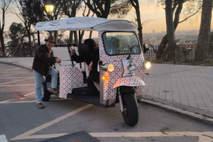 Madrid : Visite de la ville - Tuk tuk écologique privé 6 places
