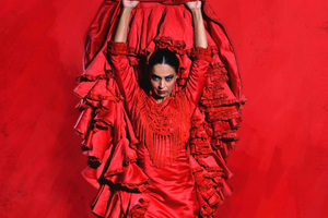 Madrid: 'Emociones' Live Flamenco Performance