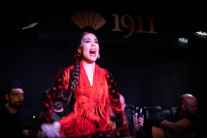 Madrid: Spettacolo di flamenco e drink al Tablao 1911 (il più antico del mondo)