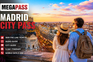 Madrid MegaCombo Tickets: Royal Palace & 3 Top Museums