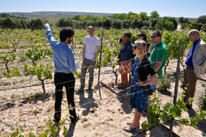 Madrid: Regional Madrid Wineries Guided Tour and Tastings