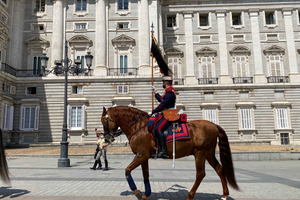 Madrid: Royal Palace Guided Shared Group Tour