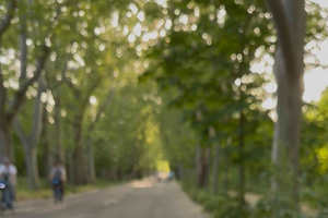 Madrid Run Sightseeing Tour: Run through Madrid Río, Casa de Campo, and the Old Town of Madrid.