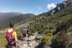 Madrid: escursione di trail running in giornata