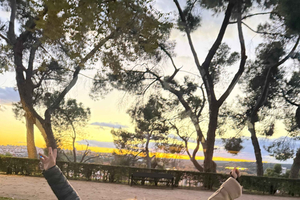 Madrid: Yoga in the morning or at sunset at the Temple of Debod