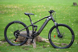 Madrid's Sierra Oeste: Electric Bike Tour in Nature.