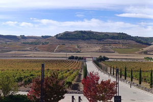 Pago de Carraovejas and Segovia: wine, history and haute cuisine in one day