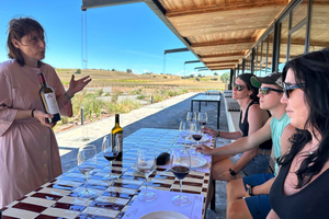 Ribera del Duero-tur: Fra Madrid til Ribera del Duero – lunsj inkludert