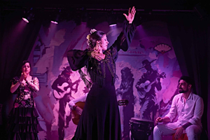 Tablao Opera Flamenco Show