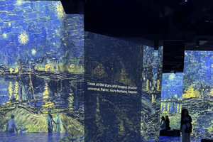 The World of Van Gogh is now in Madrid. The most complete immersive experience