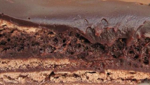 La mejor tarta de chocolate del mundo