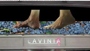 Lavinia
