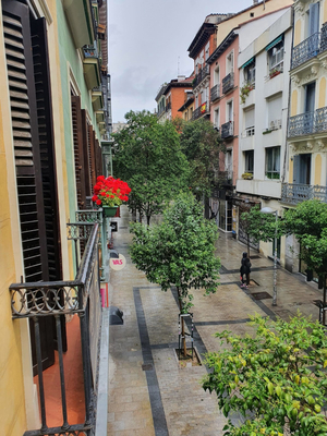 Le Petit Palü -Fuencarral