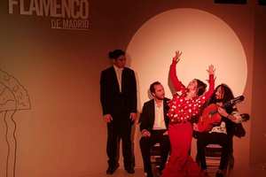 1-times traditionelt flamenco-show på Centro Cultural
