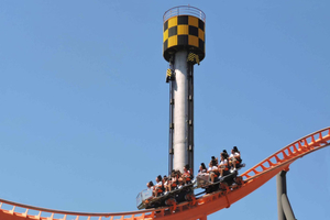 Blooming Beauty: Madrid's Spring Gardens and Experiences