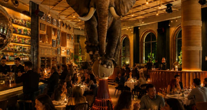 Dinner Show in Hipnótico, zuvor Fanático · Castellana