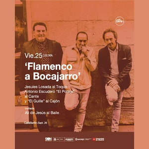 Flamenco aus nächster Nähe