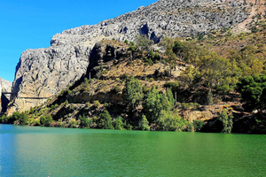Caminito del Rey & White Village Tour with Tapas from Málaga