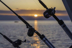 Fishing trips in Malaga City