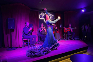 Flamenco show + 6 wine tastings with food pairing at the Port of Málaga