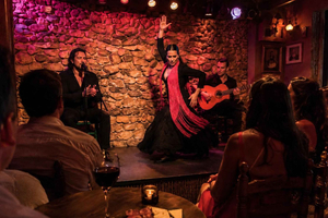 Flamenco Show with Wine and Tapa Included