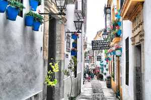 From Costa del Sol: Day Trip to Cordoba Free Time