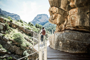 From Malaga and Costa del Sol: Excursion to Caminito del Rey