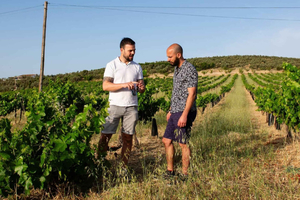 From Málaga: Organic Olive Oil & Wine Tour with Food Pairing