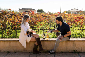 From Malaga: Vineyard & Cellar Visit with 6 Top Wines+Tapas.