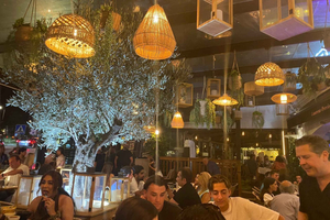 From Marbella/Estepona: Private nightlife VIP tour Transportation Drinks