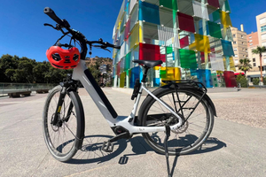 Full-Day E-Bike Rental with Helmet and Lock