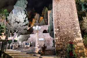 Geführte Besichtigung der Alcazaba von Málaga, des römischen Theaters und der römischen Fabrik
