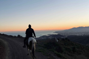 Horseback riding route through the Montes Málaga Natural Park - 1 hour