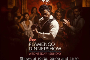Malaga: Authentic Flamenco Dinner Show at Restaurant VinoMio