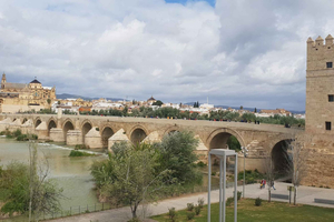 Málaga: Cordoba Day Trip and Optional Mosque-Cathedral Entry