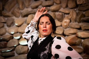 Malaga: El Gallo Ronco Flamenco Show Admission Ticket