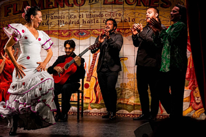 Málaga: Flamenco Show & Tapas Tour with Local Guide