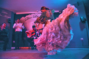 Malaga: Flamenco, Tapas, and Wine Tour