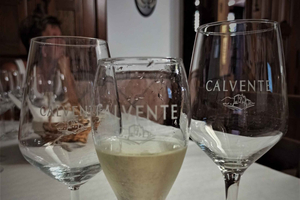 Malaga & Granada: Wine Tasting and Tapas with Resort Pickup