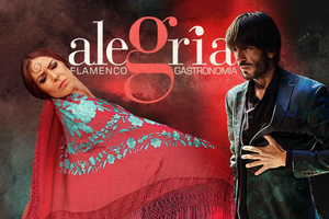 Málaga: Live Flamenco Show at Flamenco Alegría
