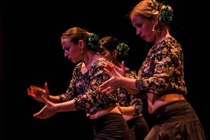 Málaga: Sevillanas Dance Class with a Flamenco Dancer